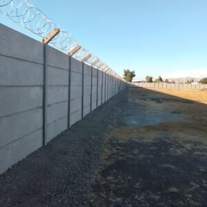 WhatsApp Image 2026-02-16 at 9.12.17 PM