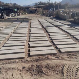 WhatsApp Image 2026-02-16 at 9.12.19 PM (4)