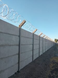 WhatsApp Image 2026-02-16 at 9.12.22 PM