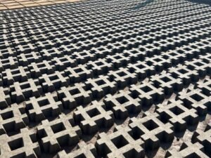 WhatsApp Image 2026-02-16 at 9.12.23 PM (4)