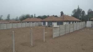 WhatsApp Image 2026-02-20 at 2.25.12 AM (1)