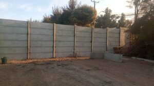 WhatsApp Image 2026-02-20 at 2.25.12 AM (2)