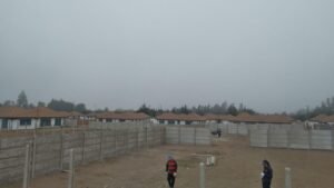 WhatsApp Image 2026-02-20 at 2.25.12 AM