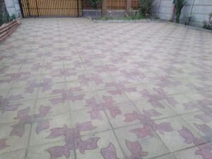 WhatsApp Image 2026-02-20 at 2.25.13 AM (1)