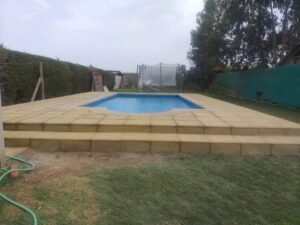 WhatsApp Image 2026-02-20 at 2.25.13 AM (3)