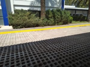 WhatsApp Image 2026-02-20 at 2.25.13 AM