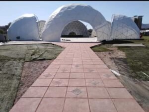 WhatsApp Image 2026-02-20 at 2.26.12 AM